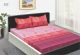 RELAX90 King Size Pink colour Bedsheet with two pillow cover 