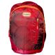  Dezire D 2510 Large Size School & College Bag I Red Colour I Office Back pack I Travel back pack