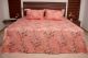 Kitex King Size Bedsheet With Two Pillow Cover - Peach Colour With White flower Design SD90 4013 C
