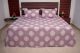 KITEX- Relax 90 King Size Light Violet Colour Printed Bedsheet 4031 B